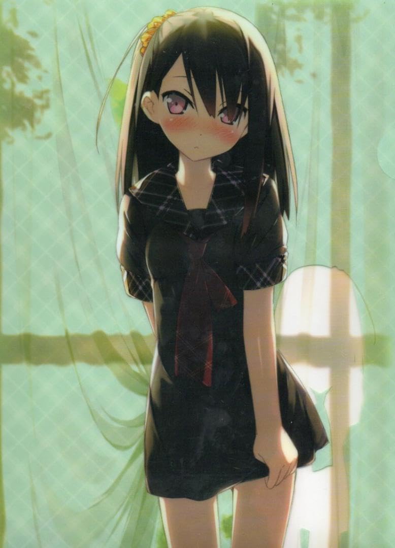 A4クリアファイル 33枚セット まとめ カントク 5年目の放課後 カントク クリアファイル A4クリアファイル 33枚セット まとめ